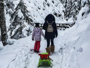 Готель Belvedere Resort Spa Закопане гори Татри відпочинок в Польщі